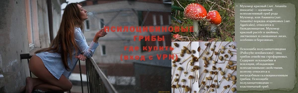прущие крисы Алексеевка